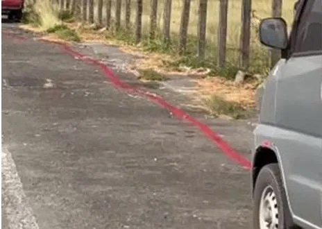 高雄街頭「貪食蛇」紅線眾人驚！網虧「心情不好別做」　揭驚人真相