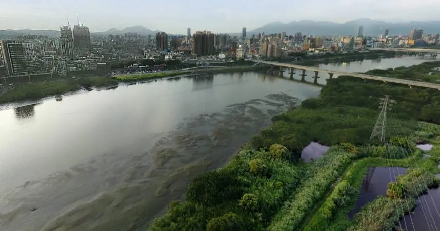 64歲父離奇墜橋22歲兒下水救爹　「父漂3km救起」送醫宣告不治