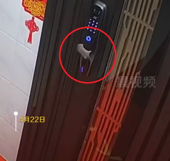 影/是要嚇「鼠」誰？米奇凌晨來訪按門鈴　還會「輸入密碼鎖」嚇壞屋主