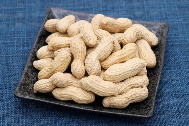 花生易孳生黴菌　食藥署籲小心「2毒素」恐增加肝癌風險