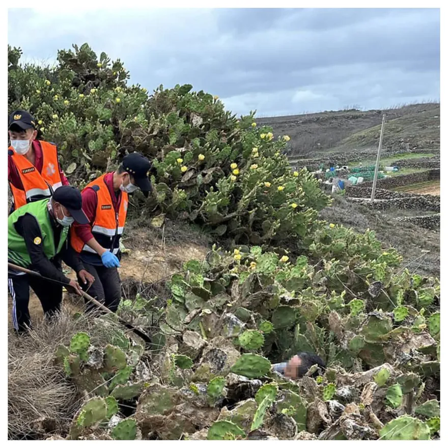 遊澎湖撿帽跌坐仙人掌叢　萬針刺身慘狀曝光