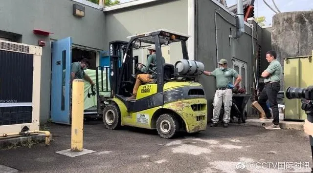 丫丫出發回家畫面曝！待運輸籠內返陸　估下午4點抵上海浦東機場