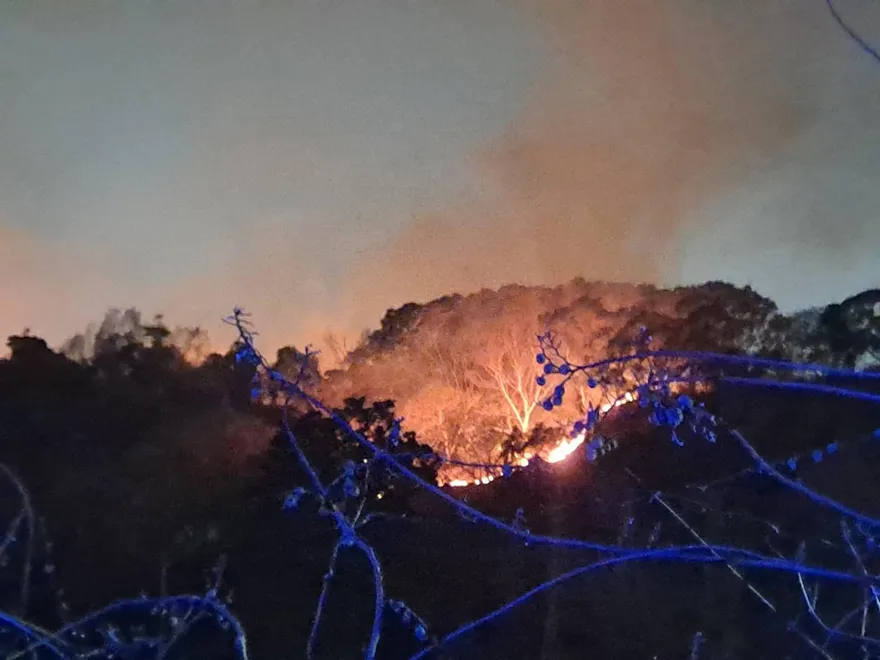 影/高雄大寮火燒山！水源不足狂燒4小時　76警消漏夜搶救