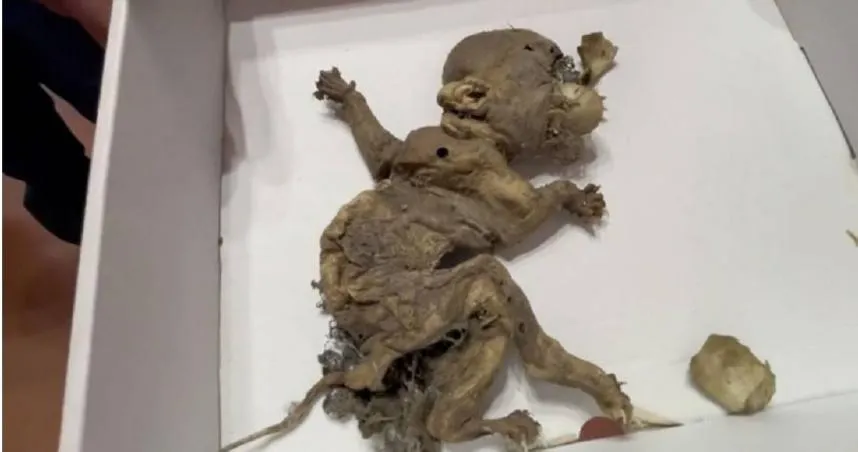 墨西哥古城挖出「哥布林木乃伊」　市長驚：古代傳說是真的