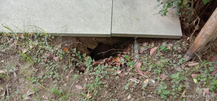 影/竹北再見1m天坑！21樓大廈前院「到處都是洞」　整片陷住戶控建商愛理不理