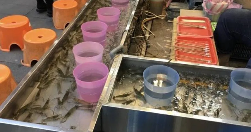 釣蝦場陌生童蹭飯吃了800元「要求剝蝦」　她約會遭破壞反被酸小氣