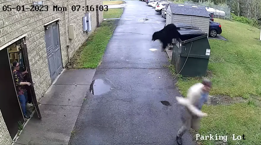 影/嚇死人！小學垃圾箱竄出「巨大黑影」　校長下秒拔腿狂奔