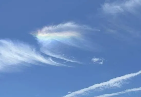 「彩鳳雙飛翼」奇景現蹤台南　上萬網友朝聖夢幻彩虹雲：看到就會幸福！