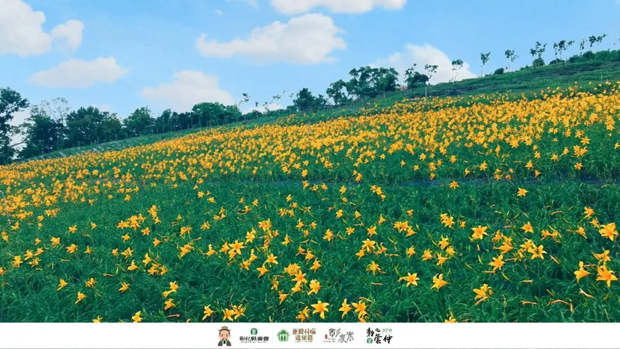 母親節賞花趣／東勢林場金針花海　5/13、5/14媽媽入園門票半價