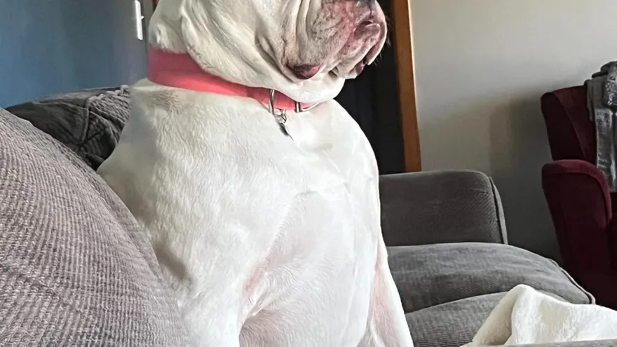 氣氣氣…追劇正爽被按掉！美鬥臭臉「斜眼怒瞪」媽笑翻　汪：妳幹嘛？