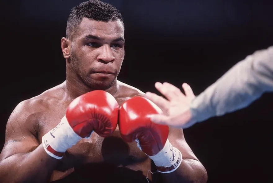 傳「拳王泰森對決大猩猩」是真的！他塞給管理員1萬美元要求開柵欄　只因「這件事」想開扁