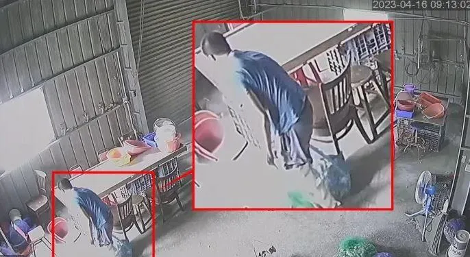 雙腳打石膏也要偷！雲林男翻牆破窗抱走200斤蒜頭　畫面曝