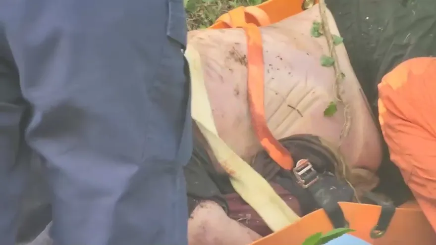 快訊/疑似為了70萬行刑式殺人！五股「棉被裹屍塞行李箱丟棄」兇案已尋獲槍枝