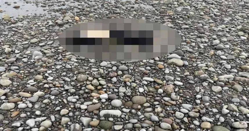 岸際浮屍事件越南9死者家屬來台　高檢署指揮核發相驗證書協助後事