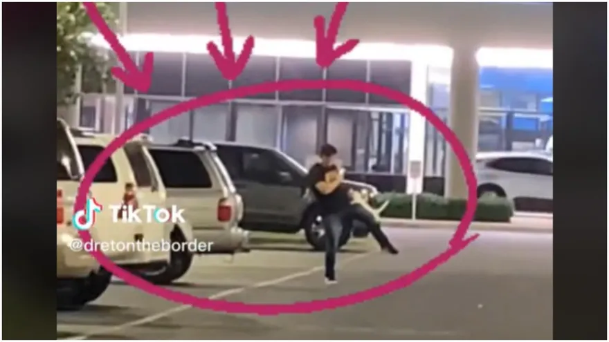 影/真抱大腿！浪浪白貓「緊抓巴住不放手」強制收編…怎料他全家都狗派結局神反轉