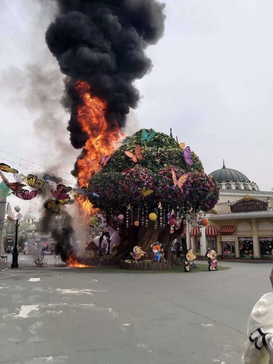 影/韓國愛寶樂園知名地標「魔法樹」驚傳起火　濃煙竄天畫面曝