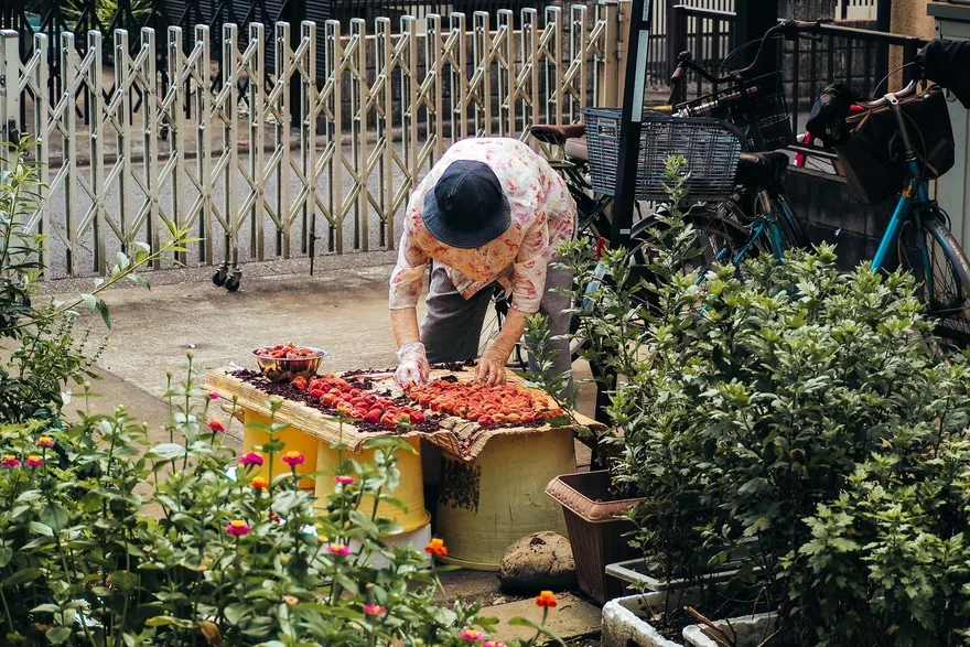 悲慘母親節！日本54歲男菜刀砍82歲媽　頸部中刀、倒臥血泊斷氣