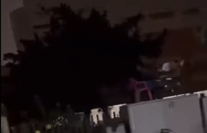 影/不怕觸電？高雄超狂阿伯在變電箱上乘涼　台電：設備不危險