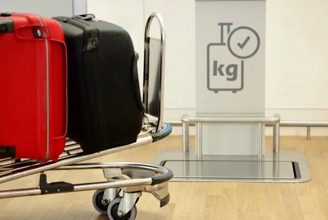 影/搭廉航行李超重！她「15件衣服套身上」　地勤照罰還「超蠢熊樣」上飛機