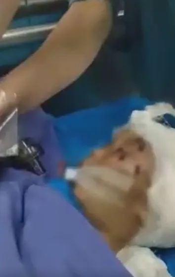 影/2歲童打碎玻璃杯竟遭外婆狠摔命危　親屬痛心：醫好也成植物人