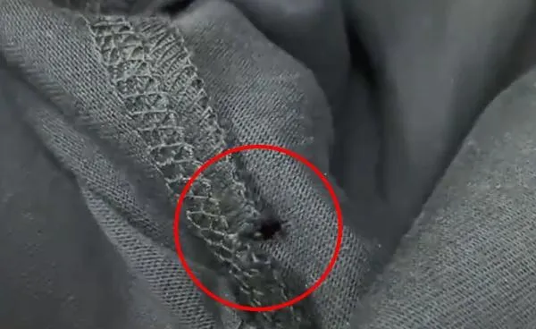 影/惡意栽贓？男客失手將衣服掉地上　店員稱「破一個洞」要求照價購買