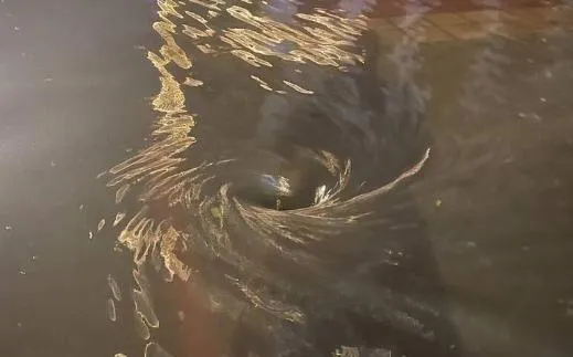 影/蘆竹街頭驚現「漩渦」！豪雨襲桃園釀災情　汽機車慘泡水　淹近半個輪胎高