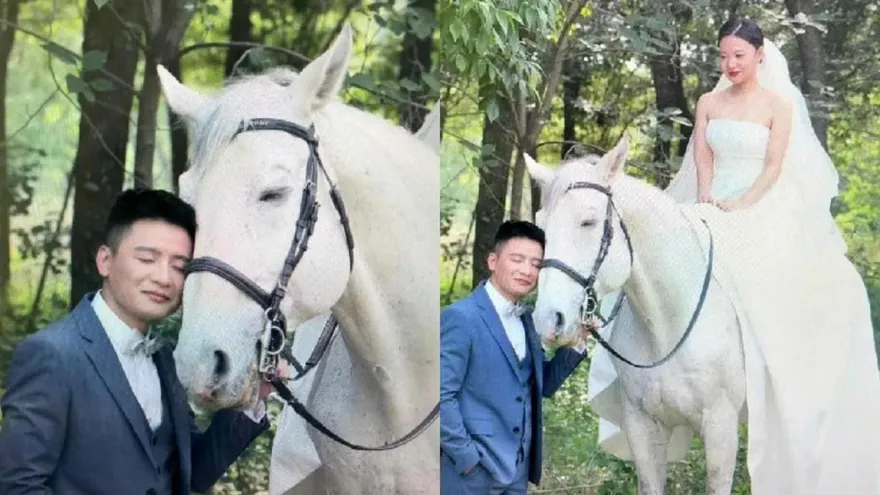 新郎和白馬才是一對？婚紗照人馬一臉幸福樣　新娘醋喊：我好多餘啊…