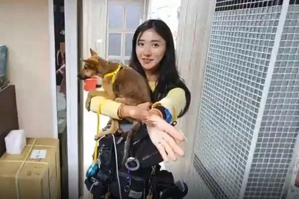 企鵝妹環島遇流浪犬暖心送治療　醫院大讚：「人美心更美」