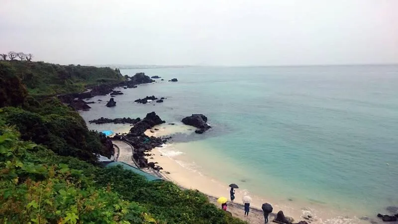 濟州島海景3人房一晚615元　部落客驚：比國旅還便宜