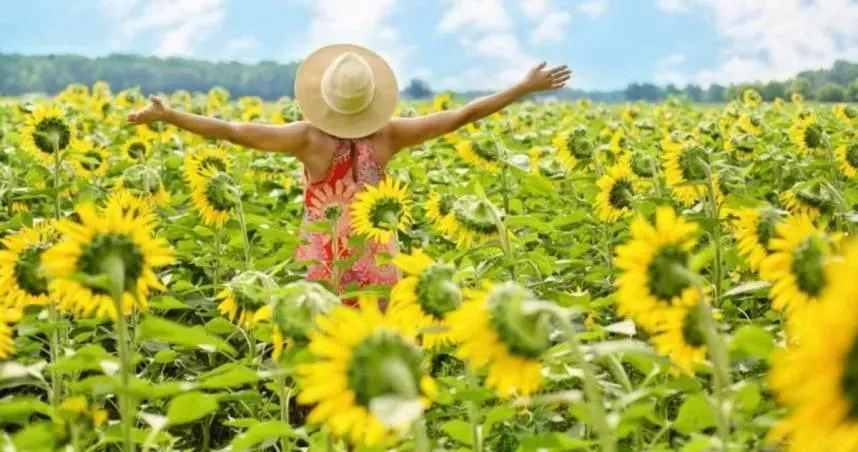 越熱越旺！「4生肖」夏季否極泰來　運勢一飛沖天