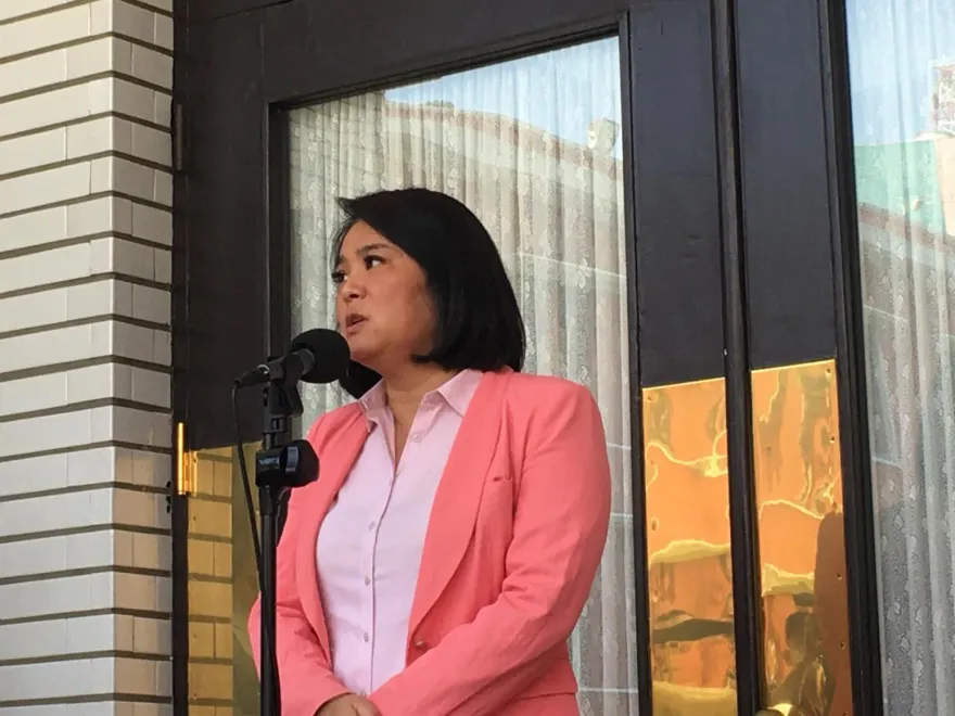 「排黑條款」不符比例原則　陳玉珍嘆：民進黨只想用人數優勢表決