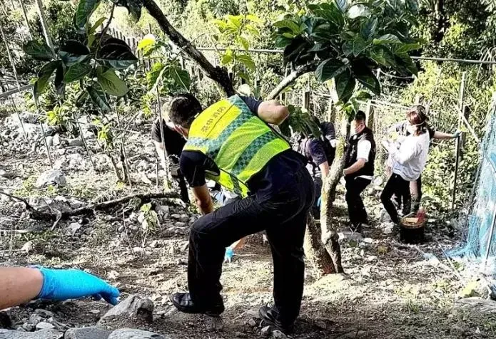 「頭下腳上」卡鐵網離奇死！台中獨居翁陳屍果園坡坎下方7米