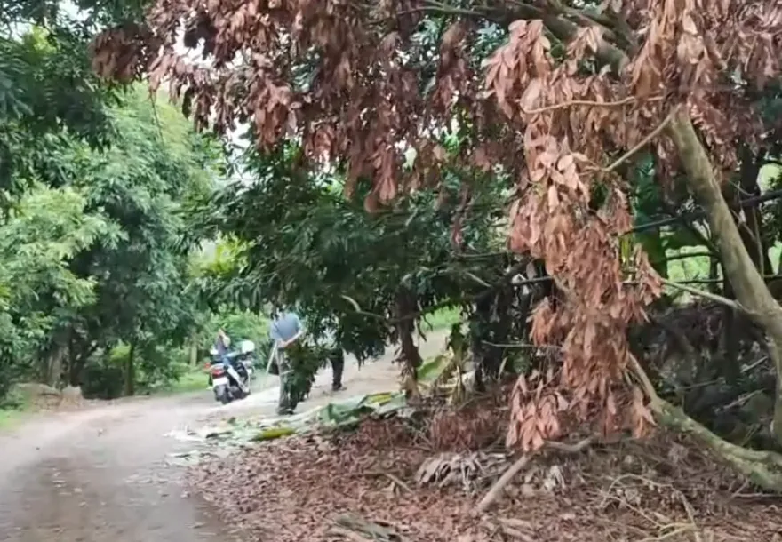 命案新進展！台南梅嶺比丘尼疑遭獵犬咬死　報案人貨車發現可疑血跡