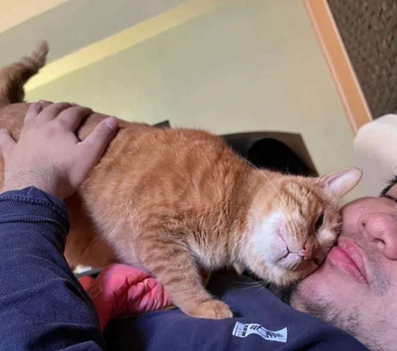 愛貓「陳橘」大安區走失Day3！統神「夜騎bike喵喵叫尋貓」　妻急曝特徵求助