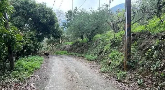 台南梅嶺比丘尼命案/報案人貨車「找到2處可疑血跡」！檢警送驗相關檢體
