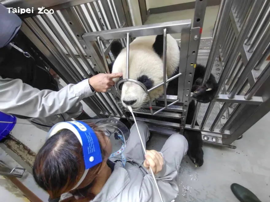 保育員「最高薪不到4萬」全靠熱忱在支撐…申請加薪還被拒慘淪血汗勞工