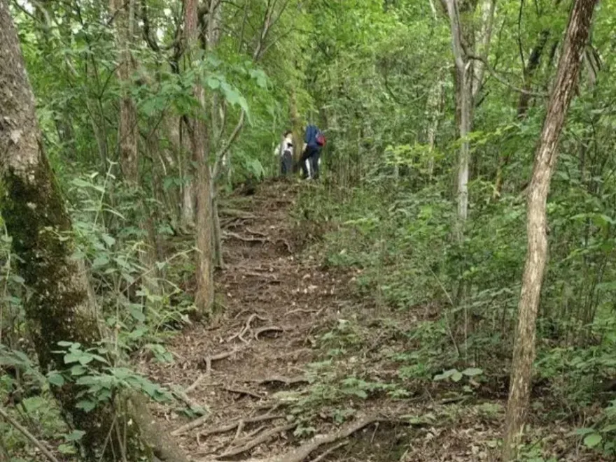 強光巨響後「人硬生生倒下」　她親曝爬山遭雷擊：全身麻木十幾秒沒知覺