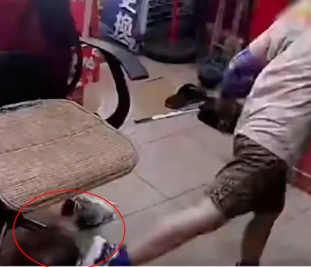 影/男童進店買水故意踢11個月嬰兒　家長拒道歉嗆「找我律師」惹眾怒