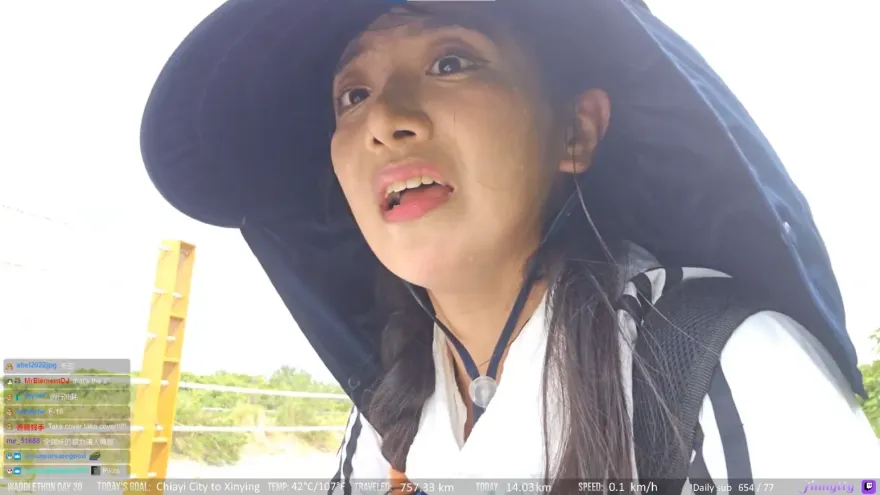 企鵝妹環島「撞況多」！民眾開車拍照橫跨雙黃線　她連勸阻5次：「不要拍」