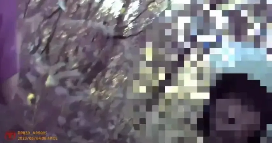 影/老當益壯片？高雄翁酒駕累犯狂飆3公里　還衝樹林棄車逃跑仍遭逮