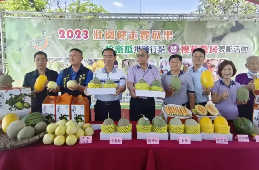 宜蘭壯圍辦「健走饗瓜果」推廣農產　邀民眾暢享脆甜瓜王