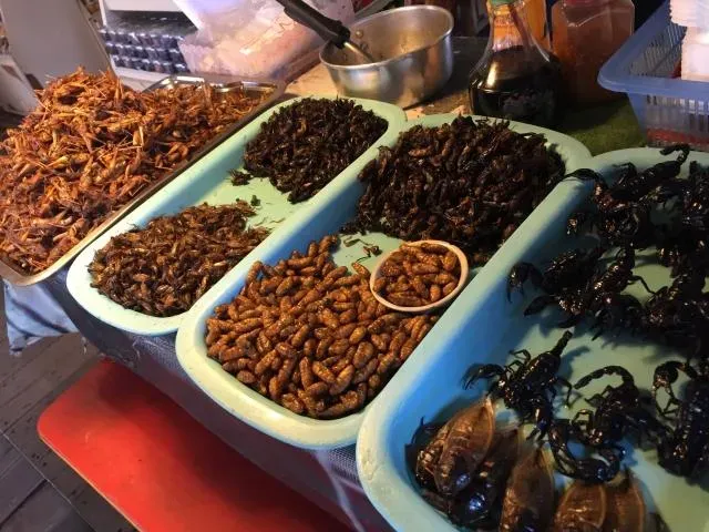 吃蟲子恐比吃肉還營養？專家曝「4驚人真相」每個人都吃過蟲