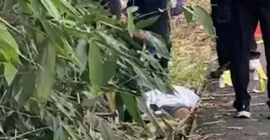 影/斗六市區草叢驚見「紅衣男屍」！無明顯外傷流血　警追車緝兇