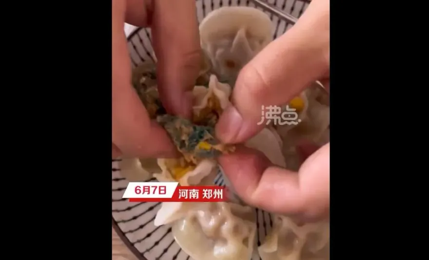 影/加「菜」？冷凍水餃驚現「綠色菜瓜布」　網友嘲：鑒定磚家會說這是韭菜