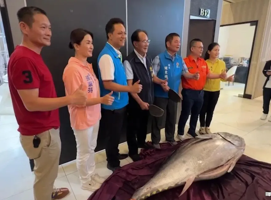 影/最狂縣長vs最肥鮪魚！苗縣義交大隊長交接授證　300斤黑鮪魚加菜成焦點