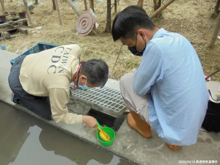快訊/台南出現今年首例登革熱！40多歲女患者旅遊史曝