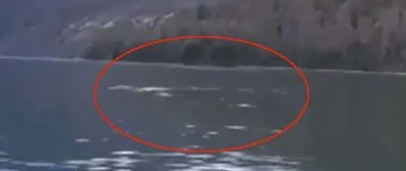 尼斯湖水怪新疆版？喀納斯湖驚見「巨大黑影」高速游動濺大片水花