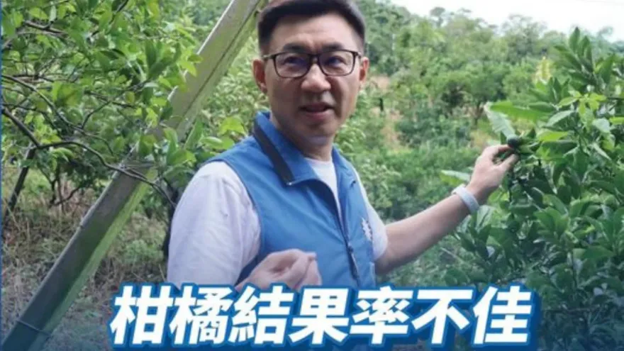 乾旱害台中椪柑「結果率不到2成」　農民嘆：10年來最慘