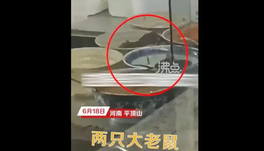 影/聞「鼠」色變！河南國道休息站菜盆中驚現「米奇」　官方：停業整改立案查處