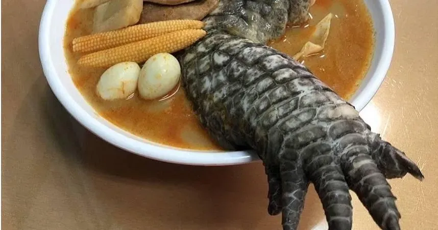 大王具足蟲、青蛙不夠看？雲林「鱷魚拉麵」伸出巨爪　眾人驚呼太恐怖